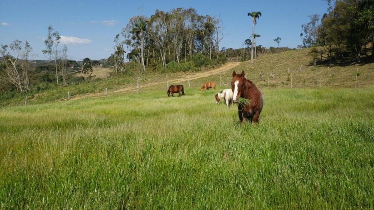 Rancho Sol Poente - Rancho Queimado - Sc 빌라 외부 사진